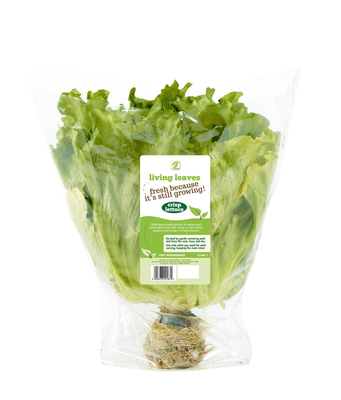 Vegetable Salad OPP Packaging Bag Biodegradable Printed Self Adhesive